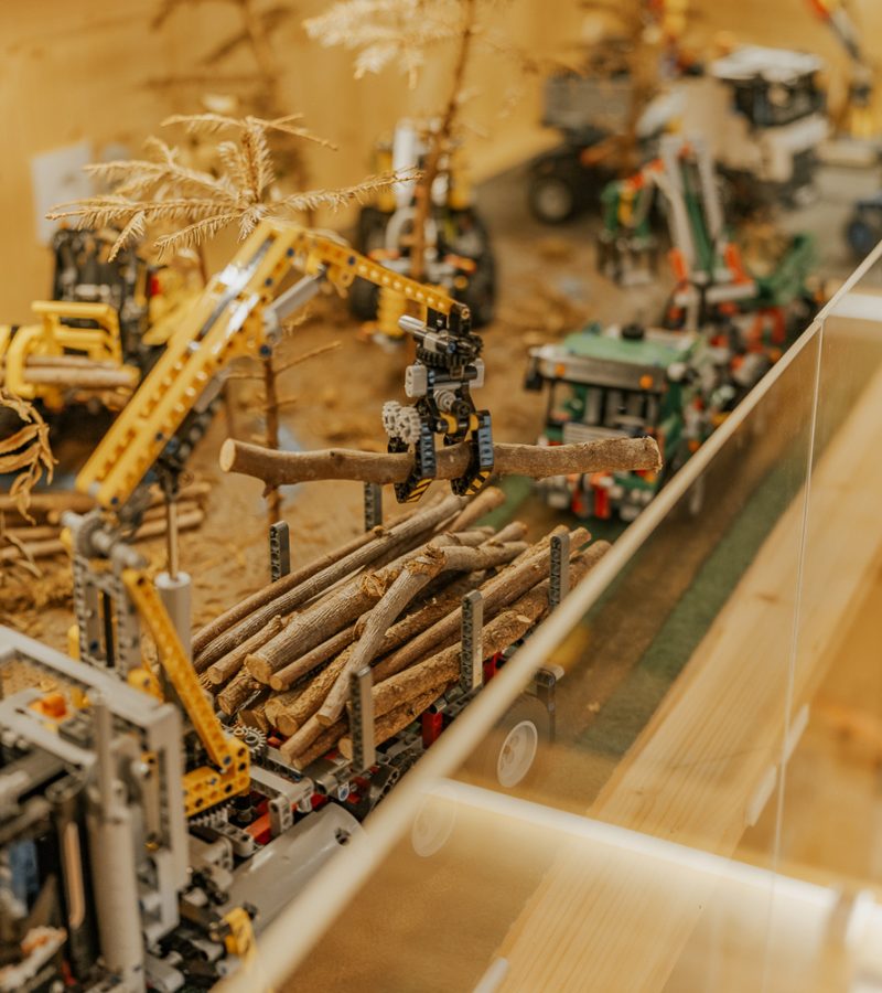 Detailaufnahme der Sammlung der Legowelt