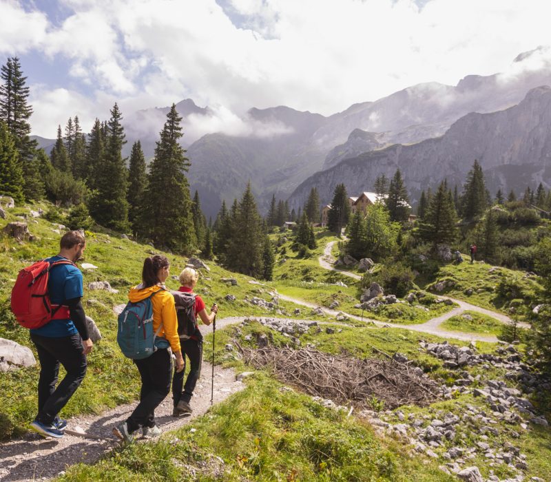 Montafoner AlpkulTour Weg (c) Stefan Kothner - Montafon Tourismus